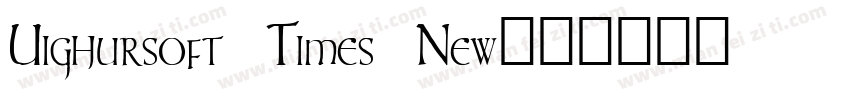 Uighursoft Times New字体转换